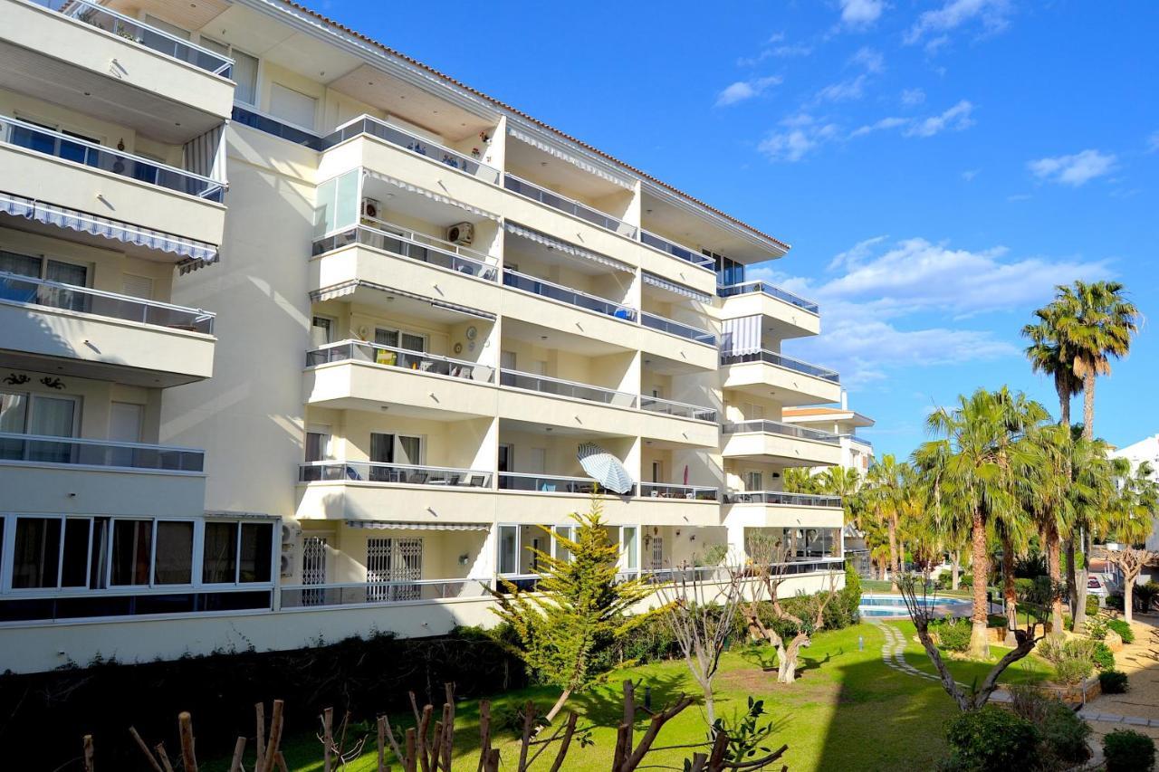 Luminoso Y Acogedor Apartamento En Albir 阿尔比尔 外观 照片